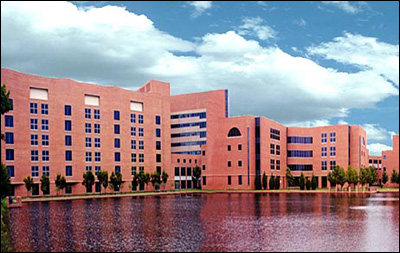Law Office of Denise E. Shanley
